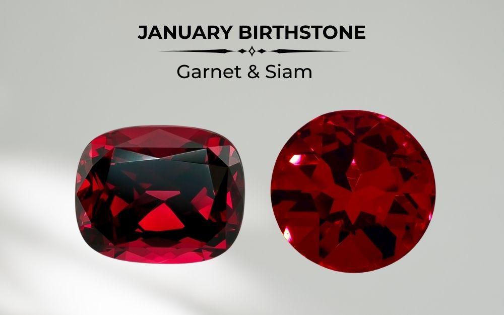 新品POTETE Birth month stone clip Jan Apr Everything About January Birthstone That You Need To Know
