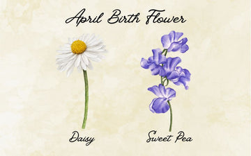 What Is The April Birth Flower? Meaning & Symbolism
