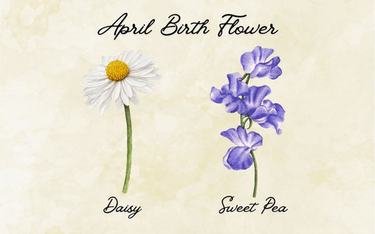 What Is The April Birth Flower? Meaning & Symbolism