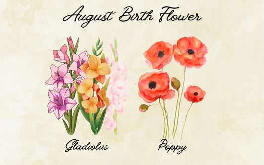 What Is The August Birth Flower? Meaning & Symbolism
