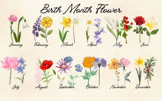 Birth Flower For All Months: Chart, Meaning & Guide