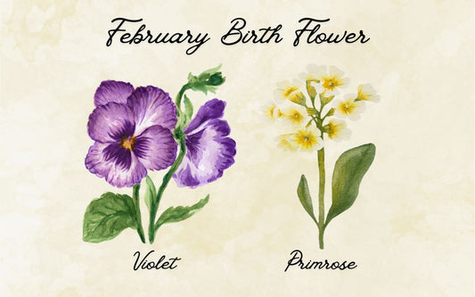 What Is The February Birth Flower? Meaning & Symbolism