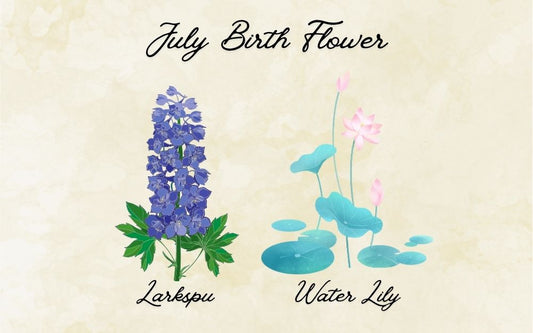 What Is The July Birth Flower? Meaning & Symbolism