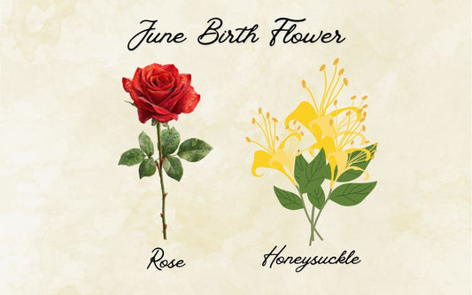 What Is The June Birth Flower? Meaning & Symbolism